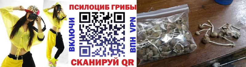 Псилоцибиновые грибы Psilocybe  Карпинск 